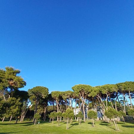 Family Apartments Zadar - Ryanair Exclusive Εξωτερικό φωτογραφία