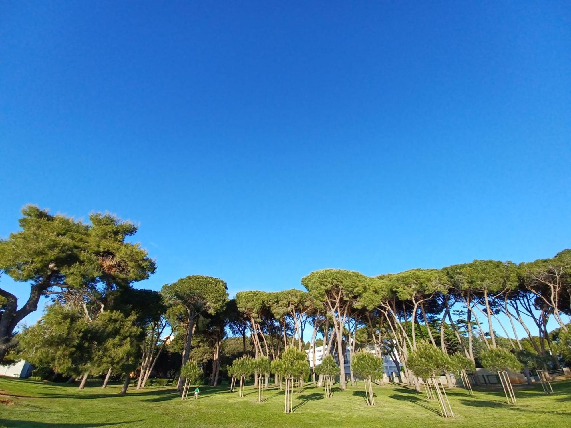 Family Apartments Zadar - Ryanair Exclusive Εξωτερικό φωτογραφία